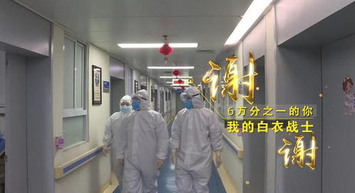 “守護天使”公益律師武漢上崗，為醫護筑起法律后盾